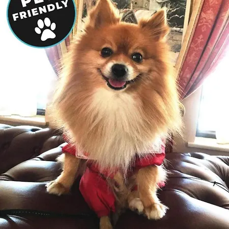 Beautiful Two Bedroom 4th Floor In Elegant Luxe With Pool, Sauna, Gym And Steam Апартхотел Банско