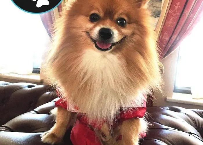 Beautiful Two Bedroom 4th Floor In Elegant Luxe With Pool, Sauna, Gym And Steam Aparthotel Bansko